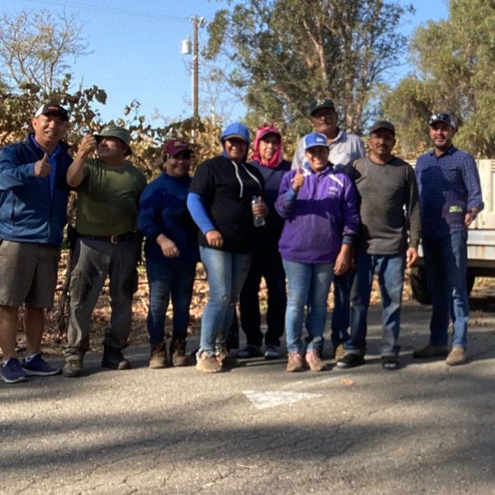 The harvesting crew at the end of the pick